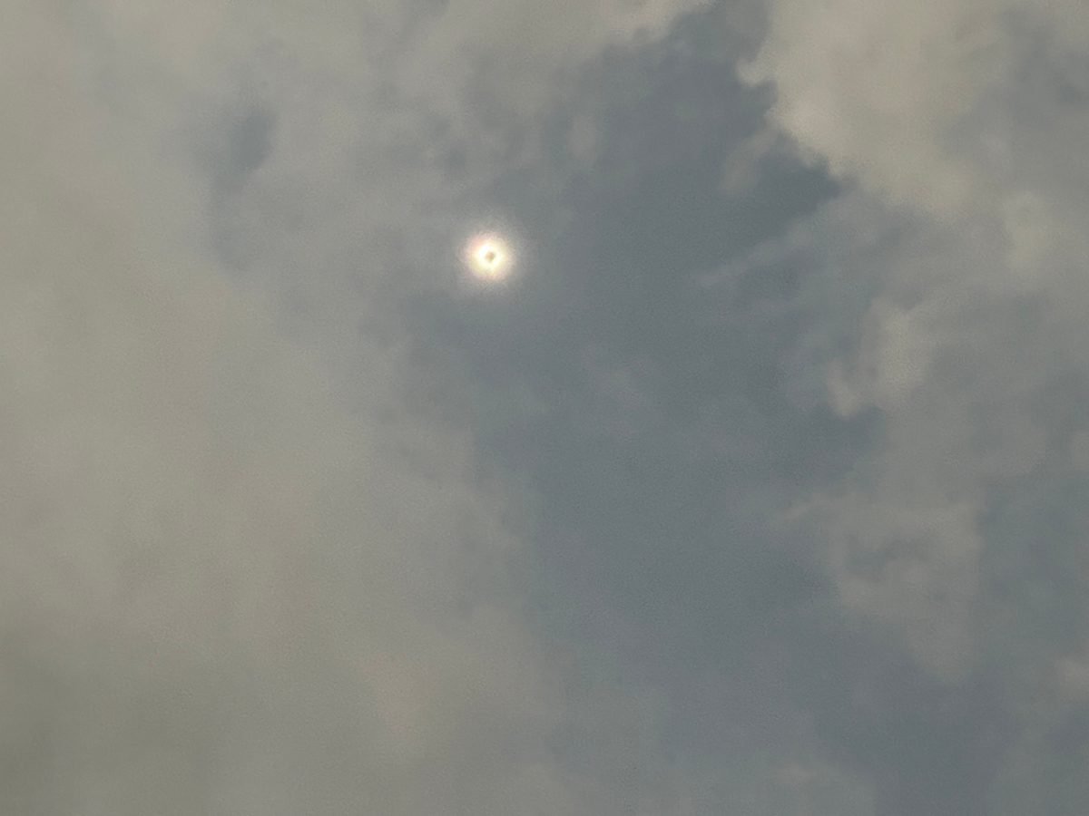 Totality captured with a camera phone, Kerrville, Texas, April 8 2024. Credit: Yvette Cook