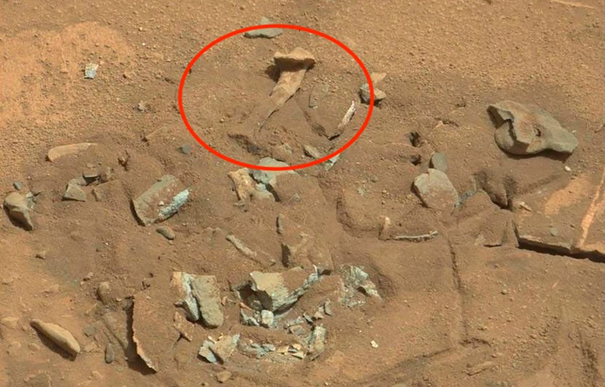 In 2014, Mars rover Curiosity discovered a Martian rock that looked uncannily like a human thigh bone. Credit: NASA/JPL-Caltech/MSSS