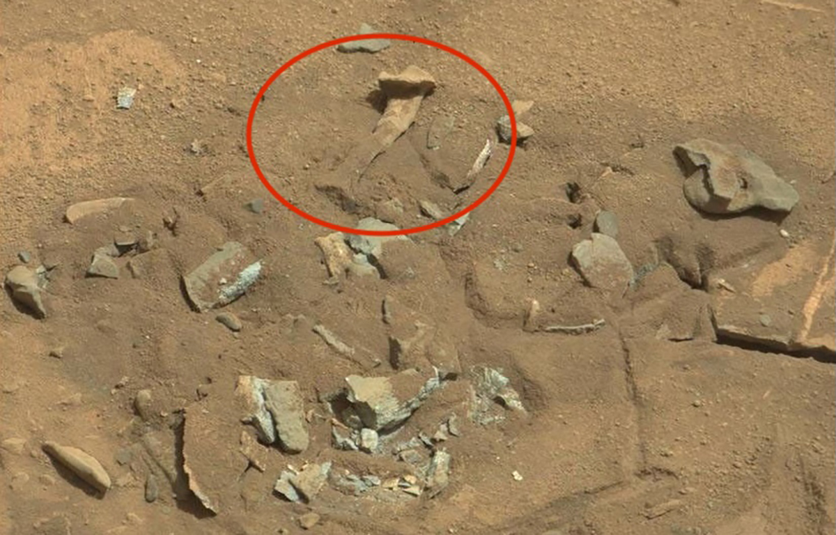 In 2014, Mars rover Curiosity discovered a Martian rock that looked uncannily like a human thigh bone. Credit: NASA/JPL-Caltech/MSSS