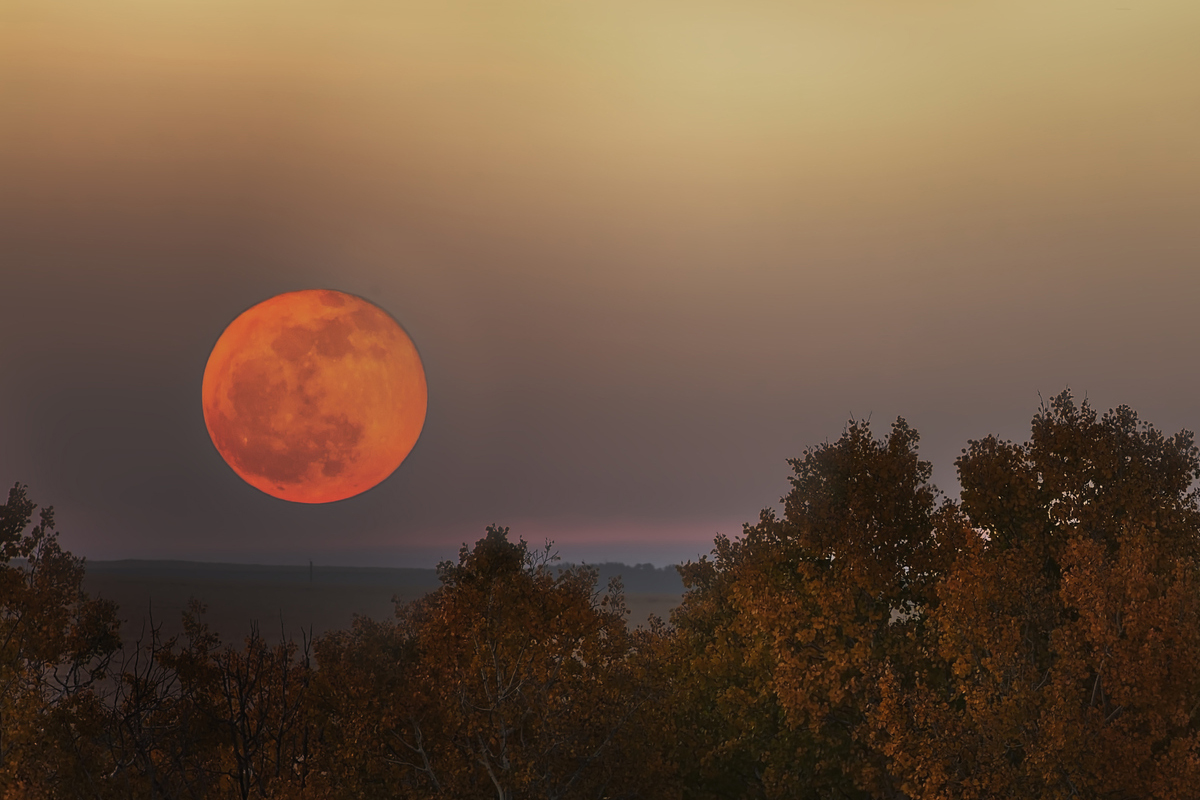 Orange Moon low on the horizon. Credit: Ambre Haller / Getty Images