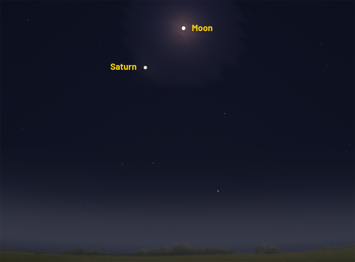 Illustration showing Saturn and the Harvest Moon together in the eastern sky, 26 September 2026. Credit: Stellarium