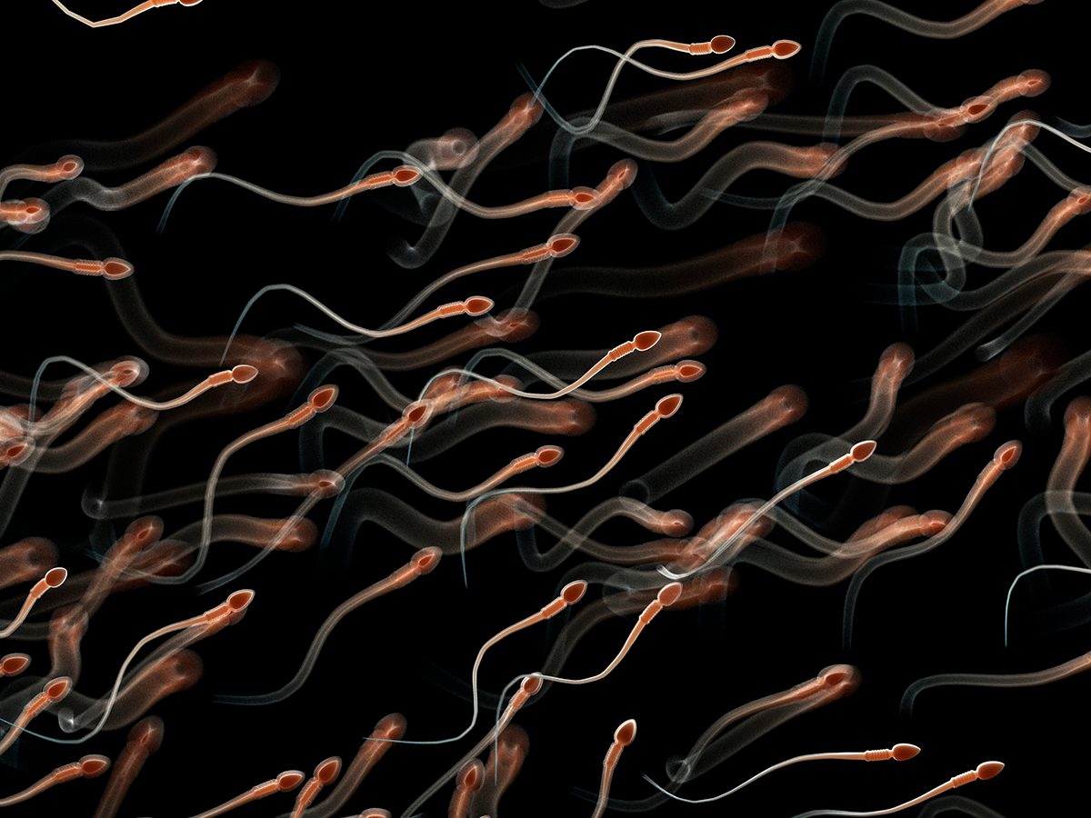 Scientists say human sperm need gravity to navigate their way through the human reproductive tract. Credit: SCIEPRO/SCIENCE PHOTO LIBRARY/GETTY
