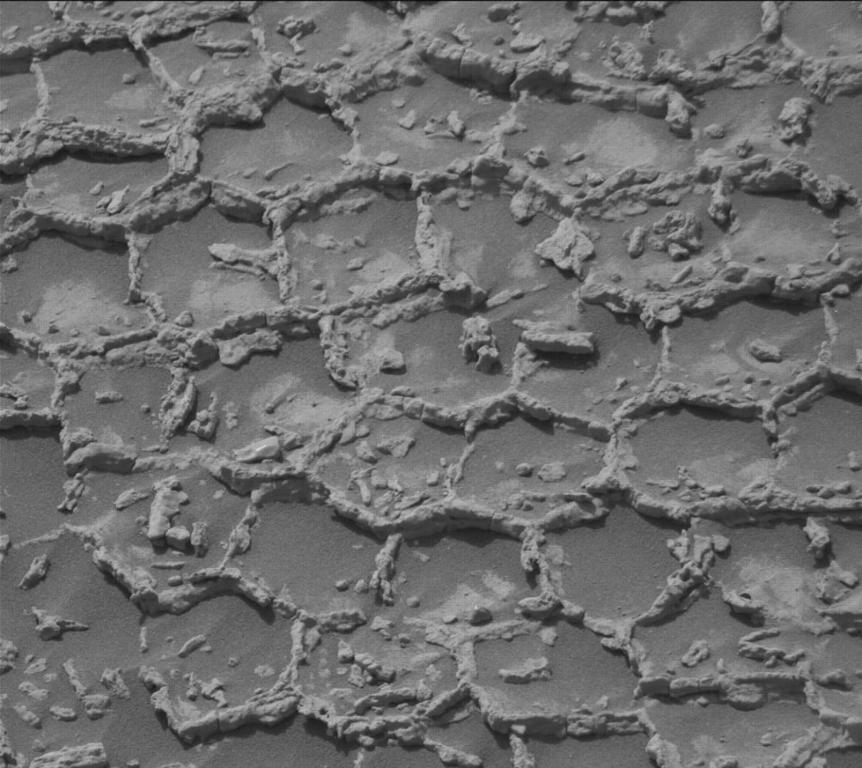 Polygonal Martian rock formation Mars rover Curiosity, 26 June 2026 Credit: NASA/JPL-Caltech/MSSS