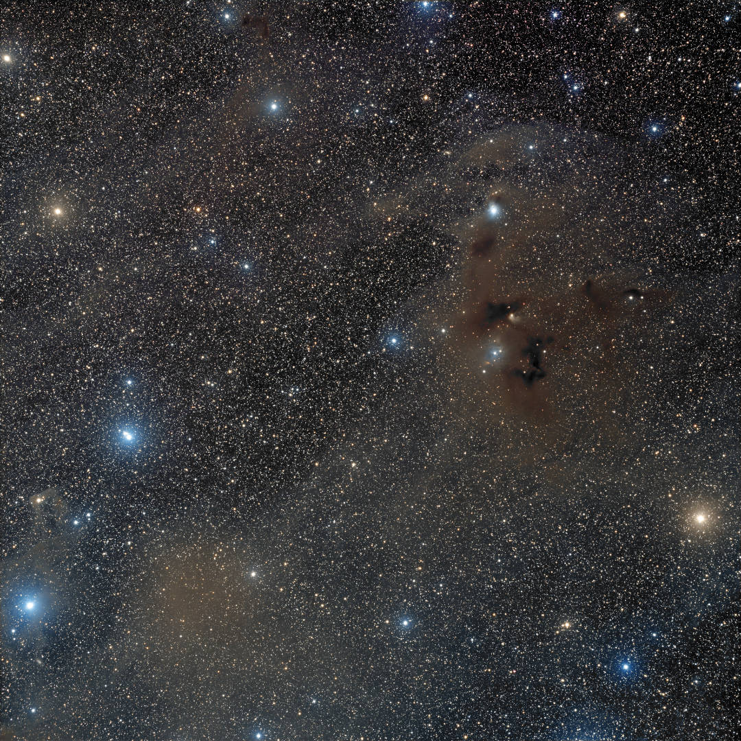 Reflection nebula Bernes 142 Dan Crowson, captured remotely via Telescope Live, Heaven’s Mirror Observatory, New South Wales, Australia, January-April 2022 Equipment: FLI PL16083 camera, Takahashi FSQ-106ED refractor, Paramount MX+ mount