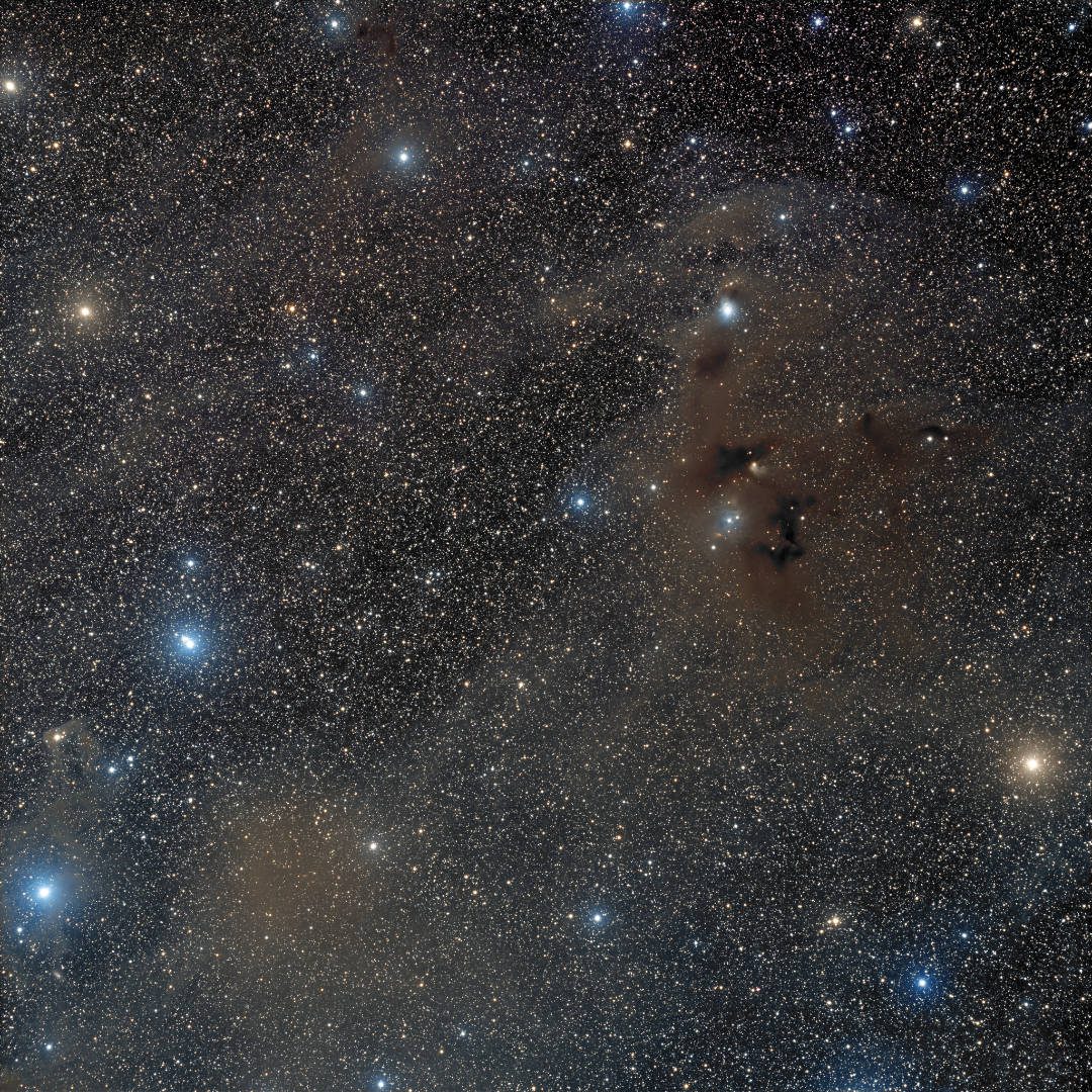 Reflection nebula Bernes 142 Dan Crowson, captured remotely via Telescope Live, Heaven’s Mirror Observatory, New South Wales, Australia, January-April 2022 Equipment: FLI PL16083 camera, Takahashi FSQ-106ED refractor, Paramount MX+ mount
