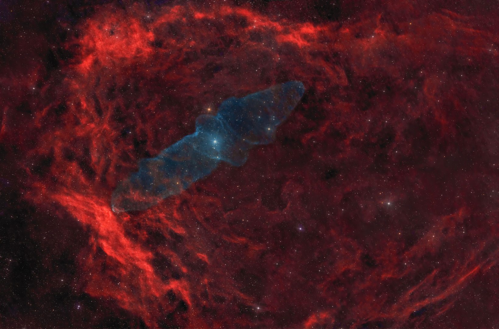The Flying Bat and Squid Nebulae Massimo Di Fusco, Ferrara, Emilia-Romagna, Italy, April-May 2026 Equipment: Player One Poseidon-C camera, Konus Konusky 200/1000 reflector, Sky-Watcher EQ6-R Pro mount