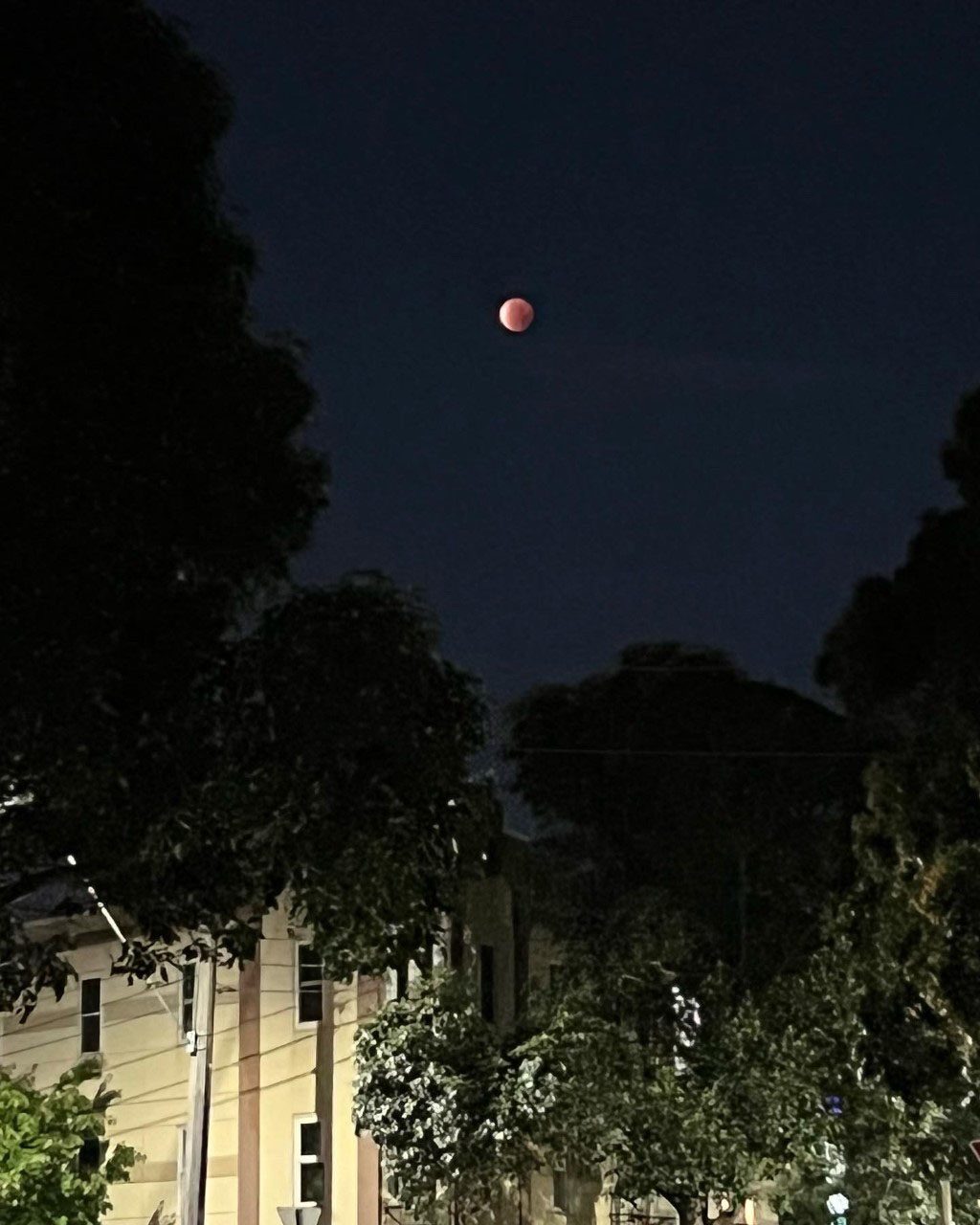 The total lunar eclipse of 8 November 2022 captured by Mirella Di Lorio from South Melbourne, Australia, using an iPhone 13.