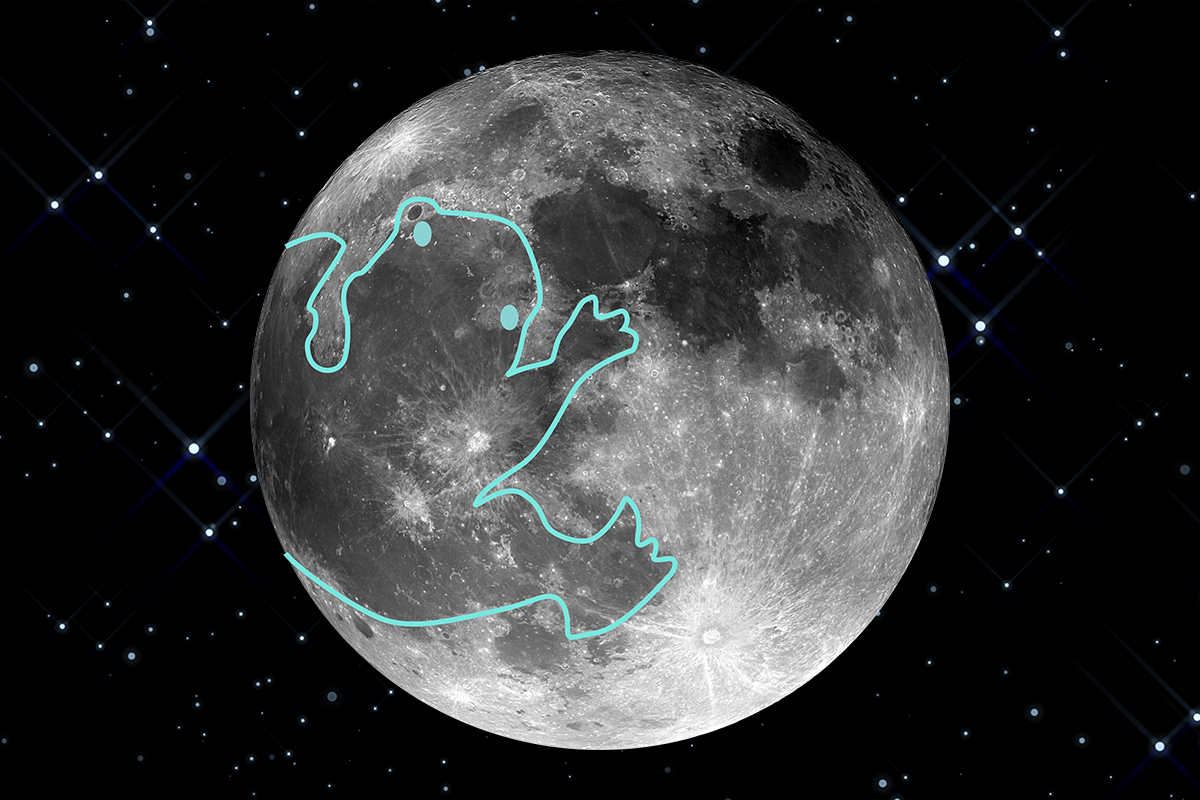 The Toad in the Moon. Credit: BBC Sky at Night Magazine, Mark Garlick, Science Photo Library, Getty Images
