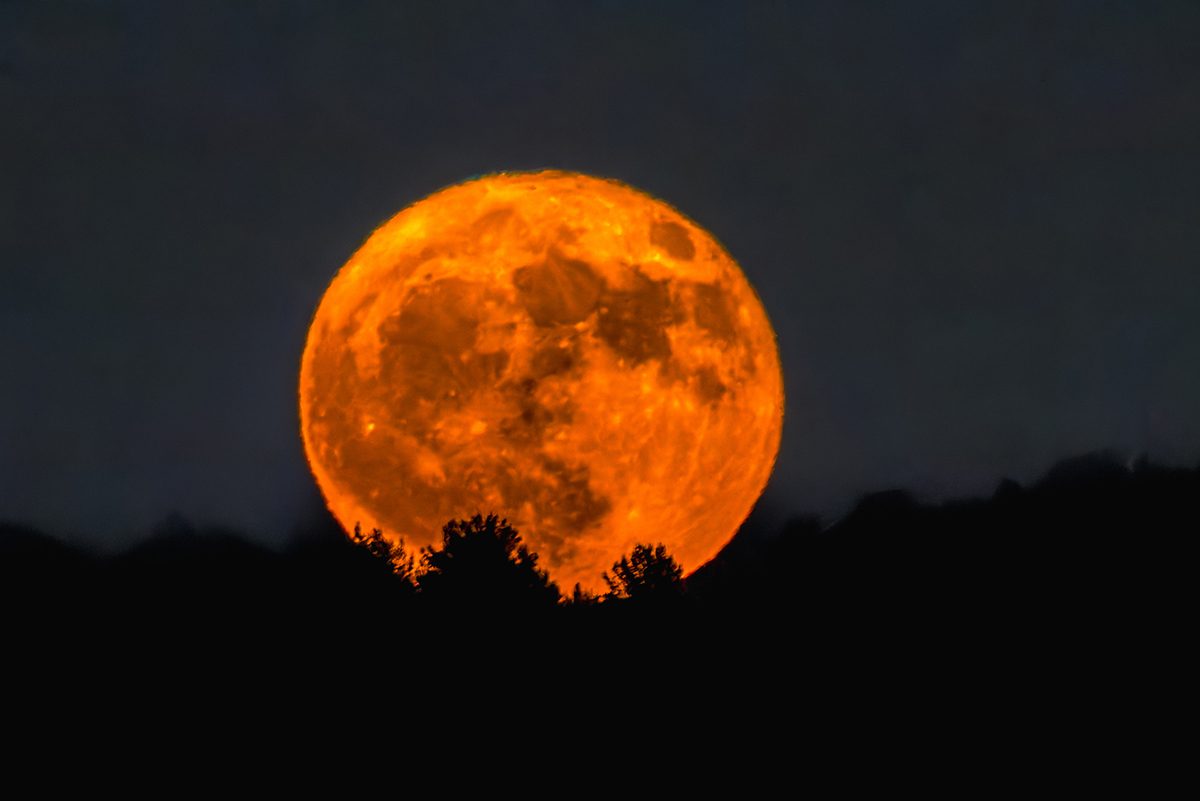 A low-lying Strawberry Moon close to the horizon. Credit: Philippe Paternolli / Getty Images