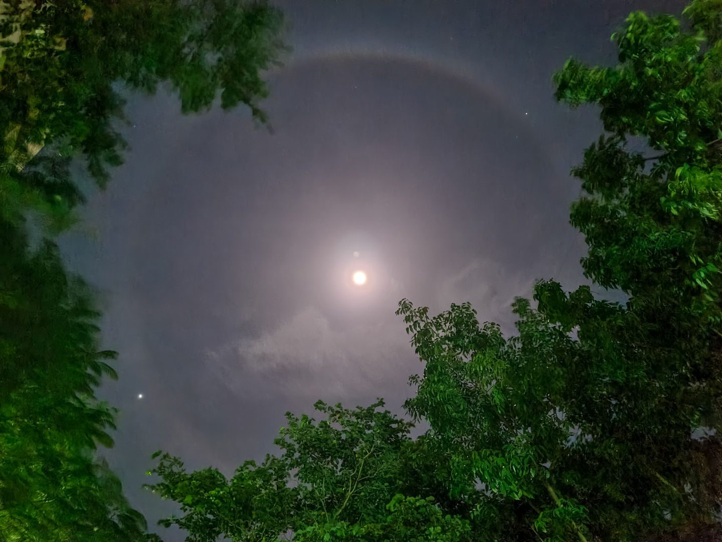 Lunar halo by Karthik Easvur, Madurai, India, December 2022
