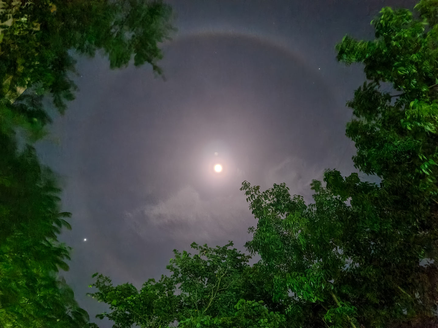 Lunar halo by Karthik Easvur, Madurai, India, December 2022