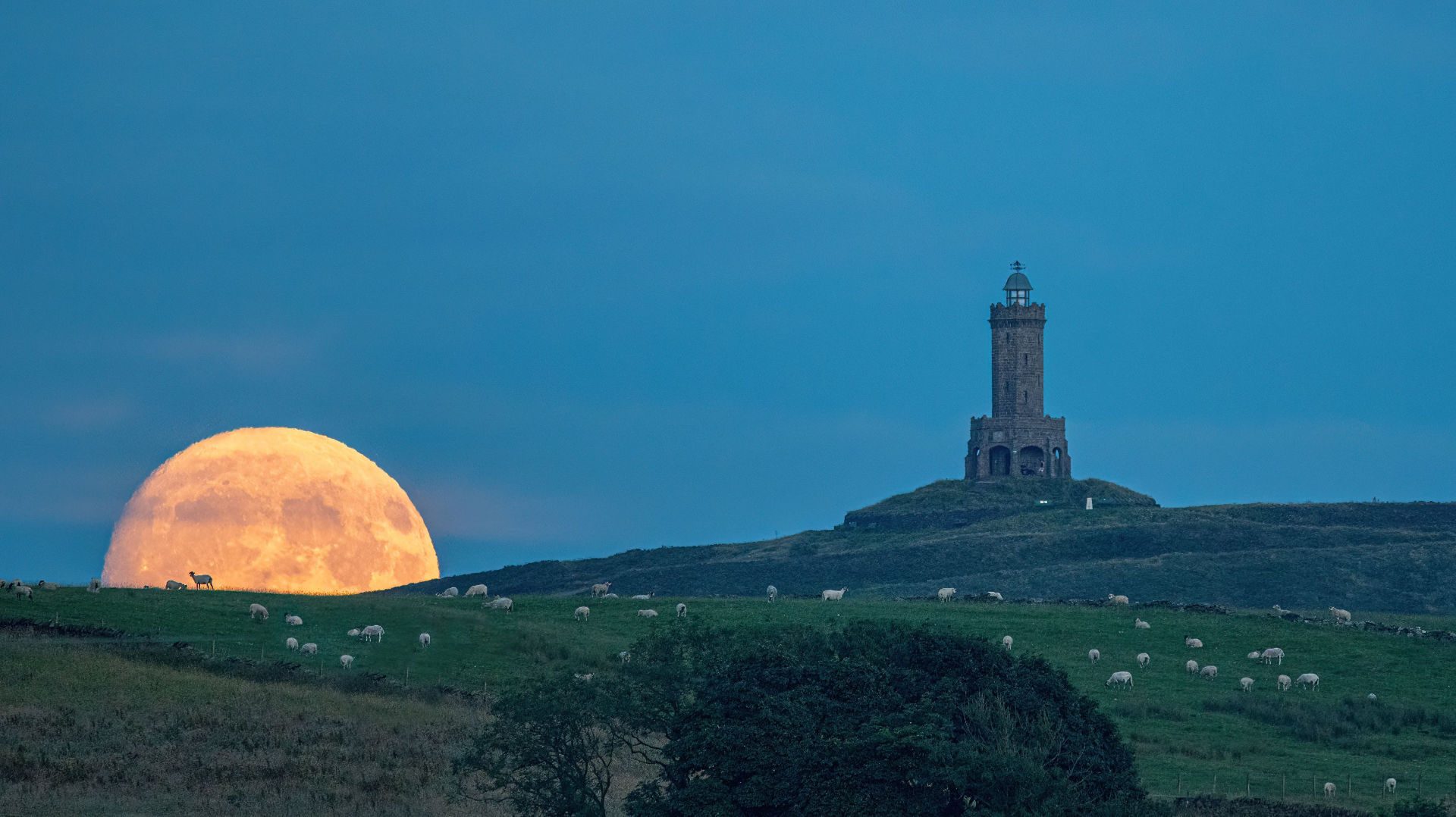 Buck Moon by Lee Mansfield, Darwen, Lancashire, 20 July 2024