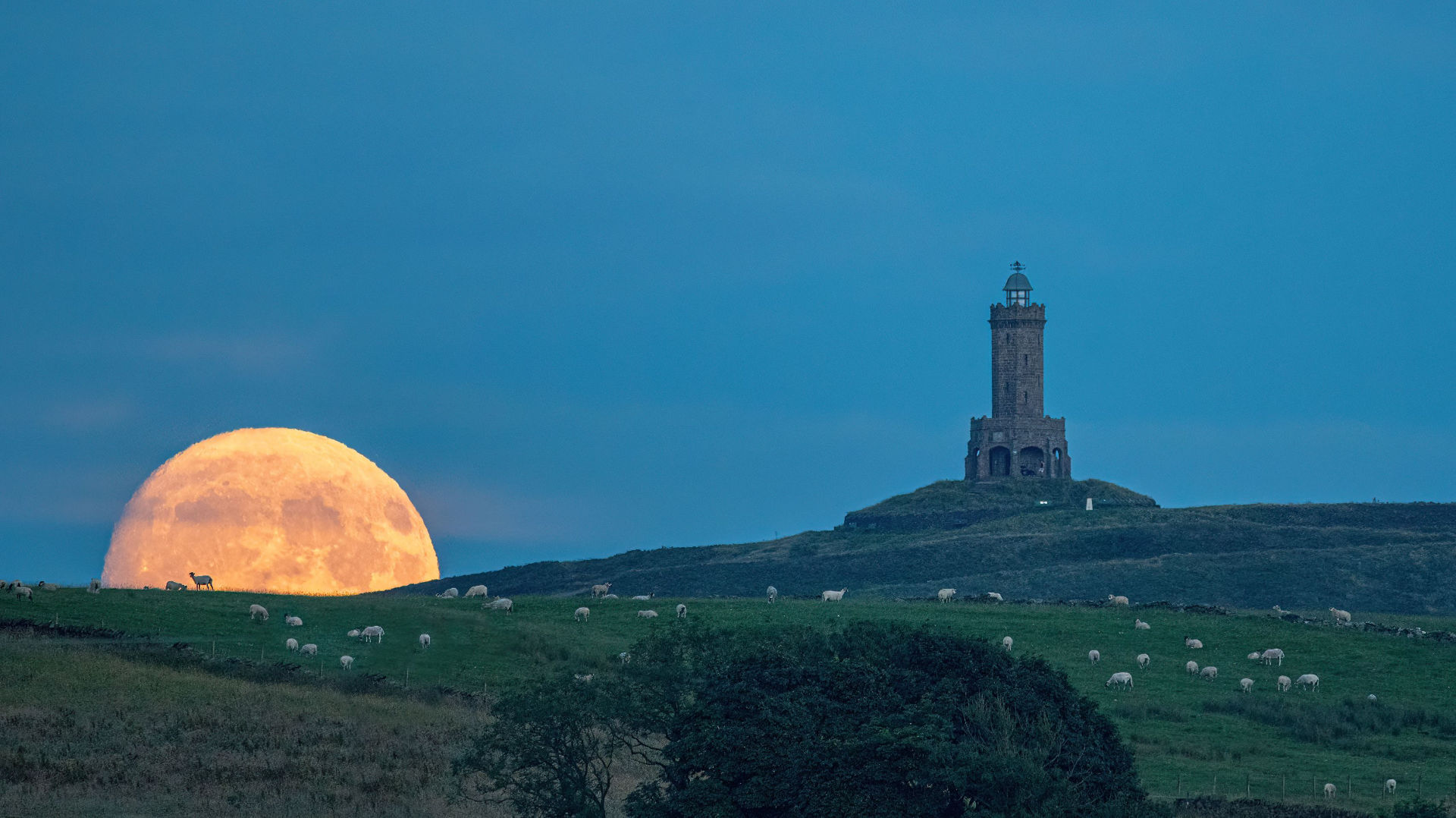 Buck Moon by Lee Mansfield, Darwen, Lancashire, 20 July 2024