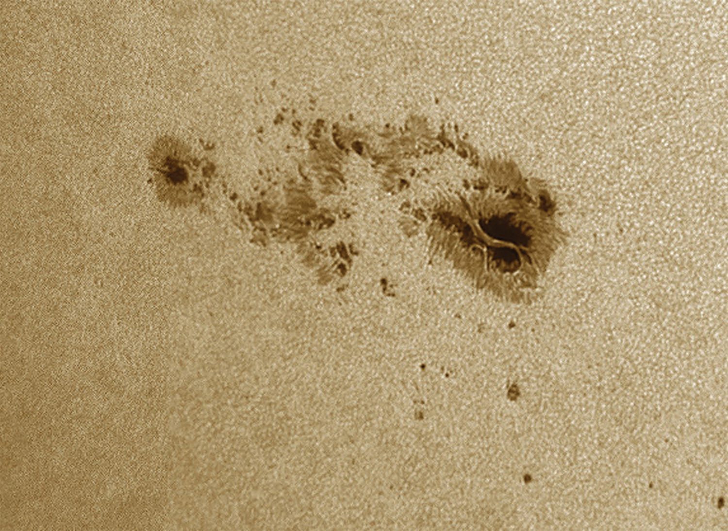 Sunspots seen on the Sun in white light. Focus on sunspots to help focus in preparation for capturing your photograph of the August 2026 solar eclipse. Credit: Pete Lawrence