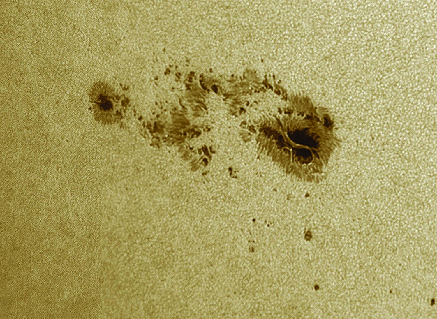 Sunspots seen on the Sun in white light. Focus on sunspots to help focus in preparation for capturing your photograph of the August 2026 solar eclipse. Credit: Pete Lawrence