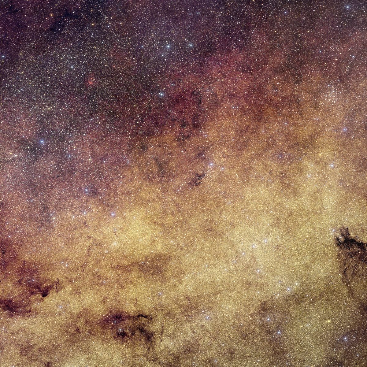 A visible-light image of the centre of our Milky Way, by the Euclid space telescope, showing over 60 million stars near the Galaxy's bulge. Credit: ESA/Euclid/Euclid Consortium/NASA, CFHT, image processing by J.-C. Cuillandre and E. Bertin (CEA Paris-Saclay)