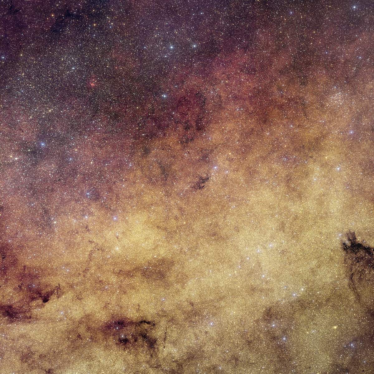 A visible-light image of the centre of our Milky Way, by the Euclid space telescope, showing over 60 million stars near the Galaxy's bulge. Credit: ESA/Euclid/Euclid Consortium/NASA, CFHT, image processing by J.-C. Cuillandre and E. Bertin (CEA Paris-Saclay)