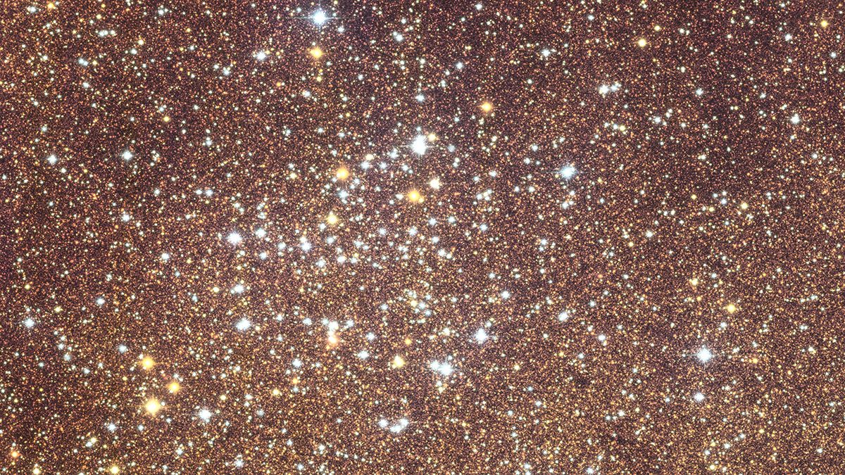 Open star cluster NGC 6451, seen by the Euclid space telescope as part of its observations of the galactic bulge, the centre of the Milky Way. Credit: ESA/Euclid/Euclid Consortium/NASA, CFHT, image processing by J.-C. Cuillandre and E. Bertin (CEA Paris-Saclay)