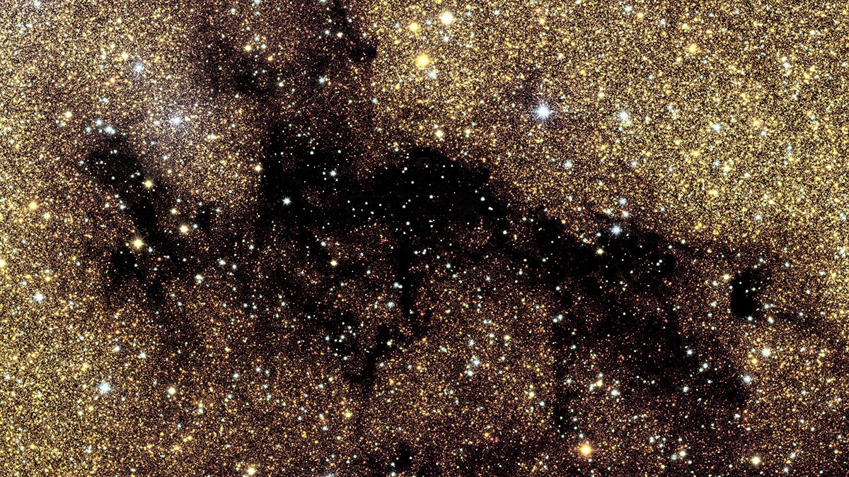 Molecular cloud LDN 10, seen by the Euclid space telescope as part of its observations of the galactic bulge, the centre of the Milky Way. Credit: ESA/Euclid/Euclid Consortium/NASA, CFHT, image processing by J.-C. Cuillandre and E. Bertin (CEA Paris-Saclay)