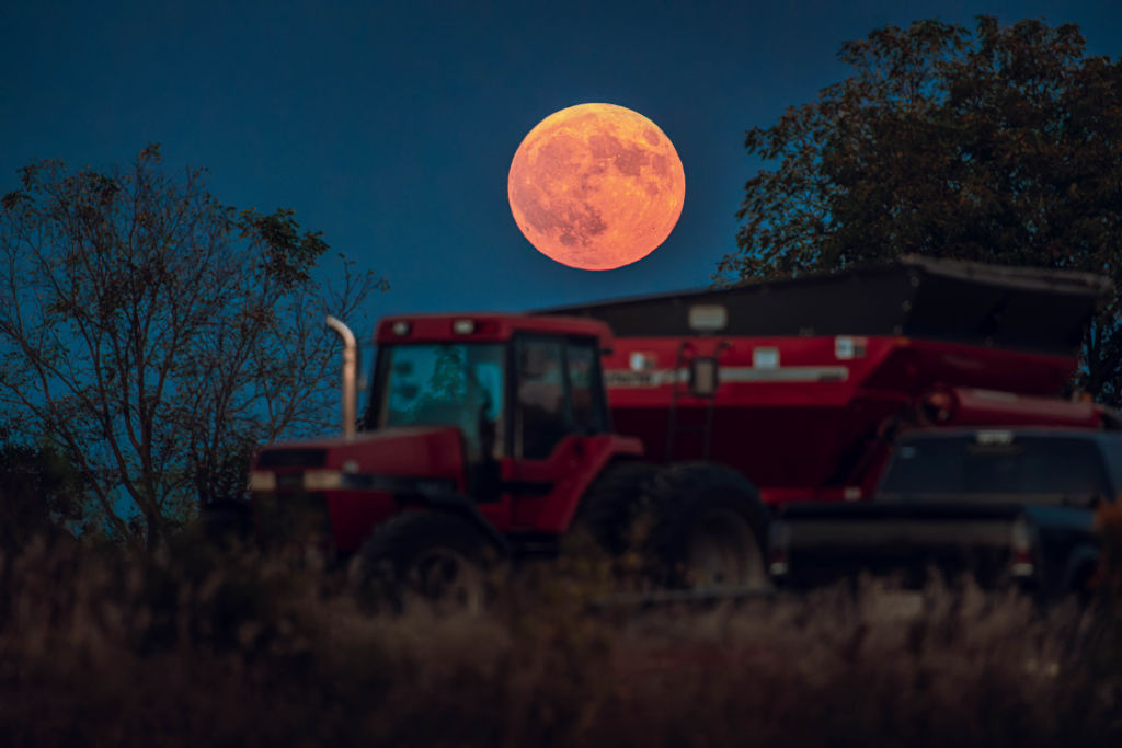 The Corn Moon rises over a soybean harvest at Malkow Farms in Monroe, Wisconsin, USA, 17 September 2024. Photo by Ross Harried/NurPhoto via Getty Images