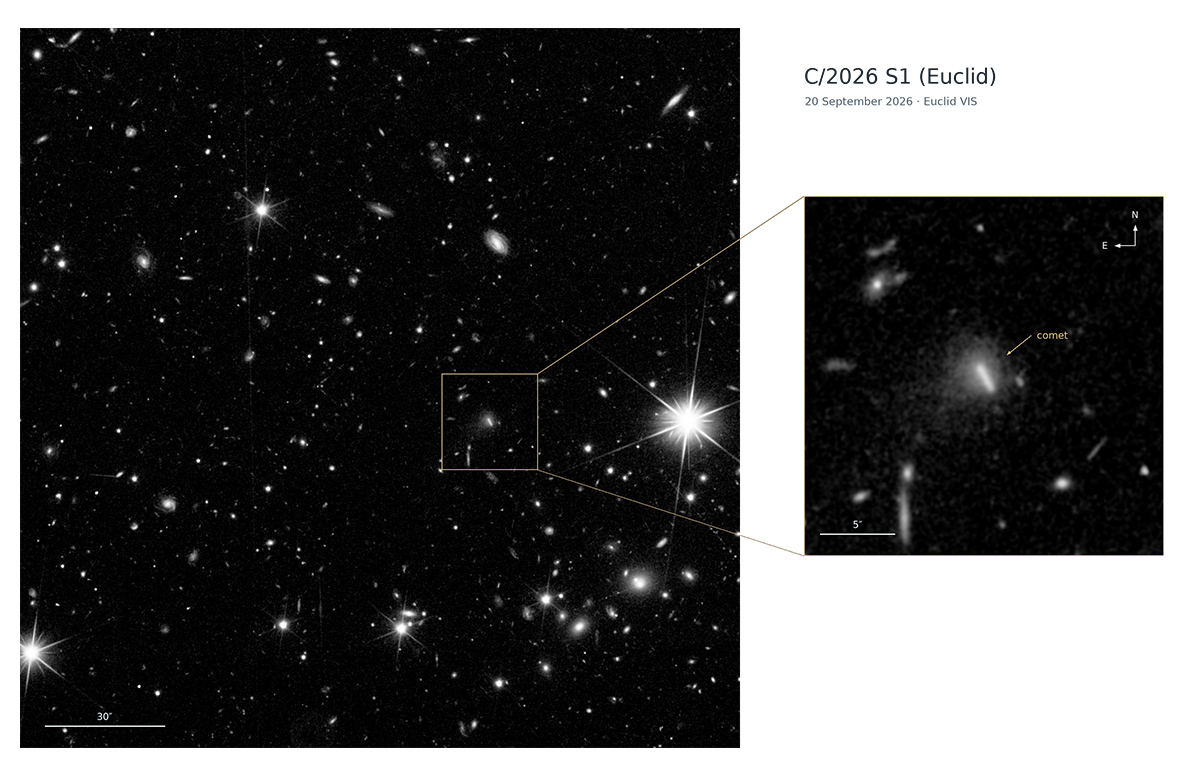 A wide-field view of the sky containing comet C/2026 S1 (Euclid), captured on 20 September 2026. Credit: ESA/Euclid/Euclid Consortium/NASA, M. Pöntinen et al. 2026