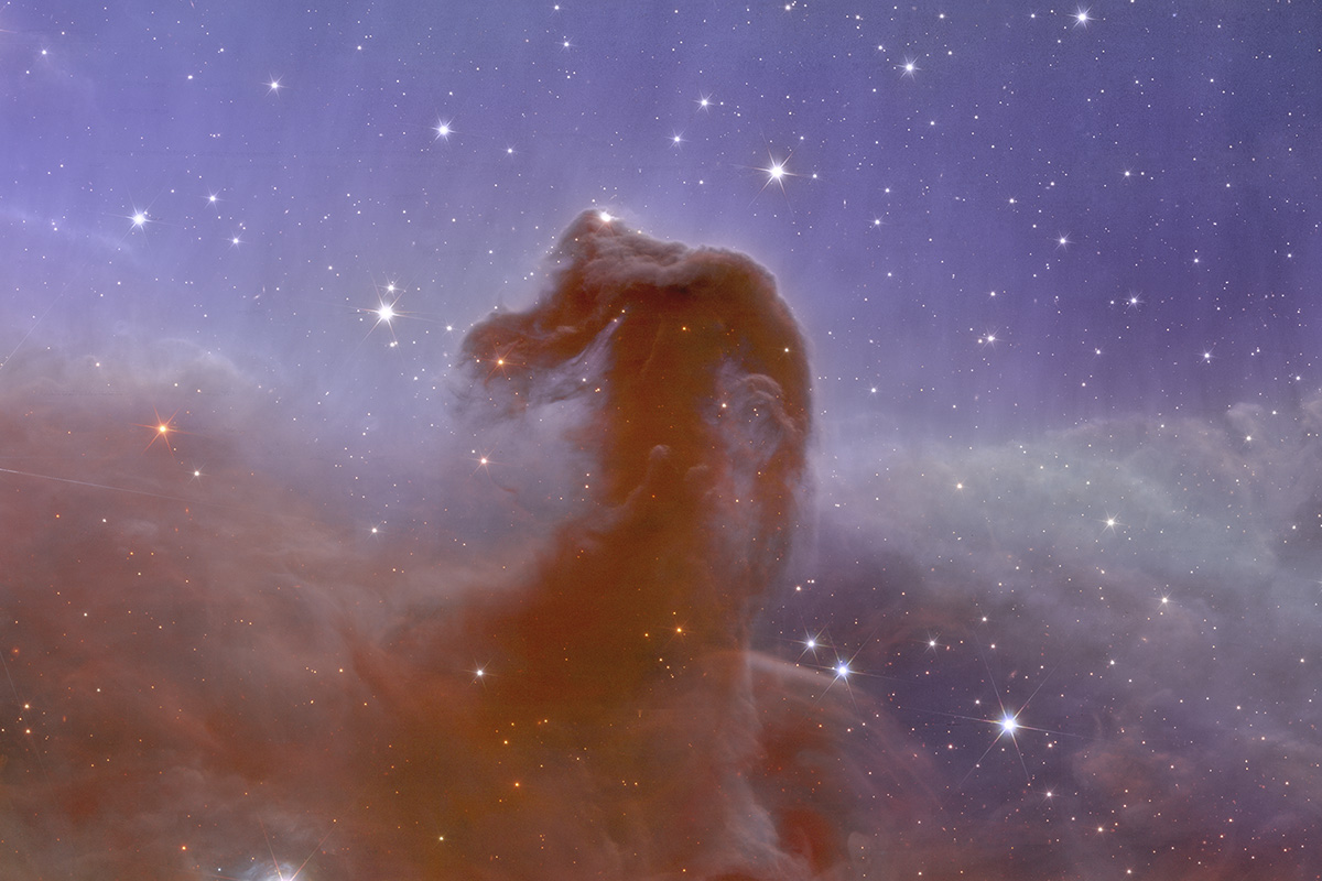 Image of the Horsehead Nebula captured by the Euclid space telescope. Credit: ESA/Euclid/Euclid Consortium/NASA, image processing by J.-C. Cuillandre (CEA Paris-Saclay), G. Anselmi