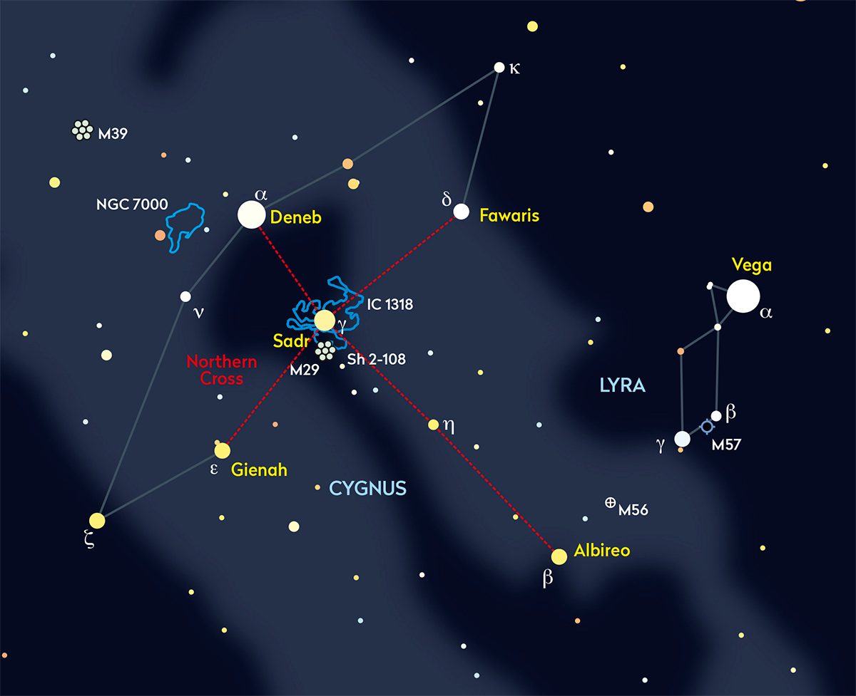 Sadr represents the chest of the Cygnus swan. Credit: Pete Lawrence