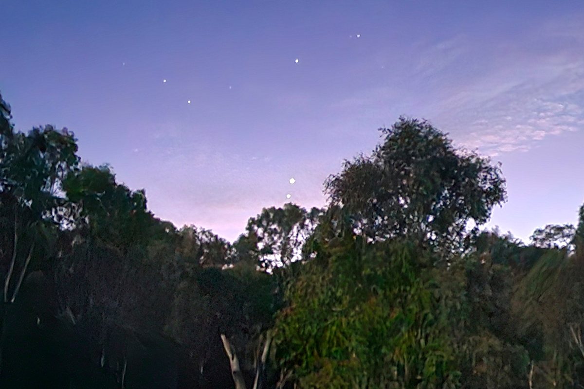 Wendy Siperki photographed Venus and Jupiter just about poking above the trees in Wangaratta, Victoria, Australia, 12 August 2025, 06:00 local time