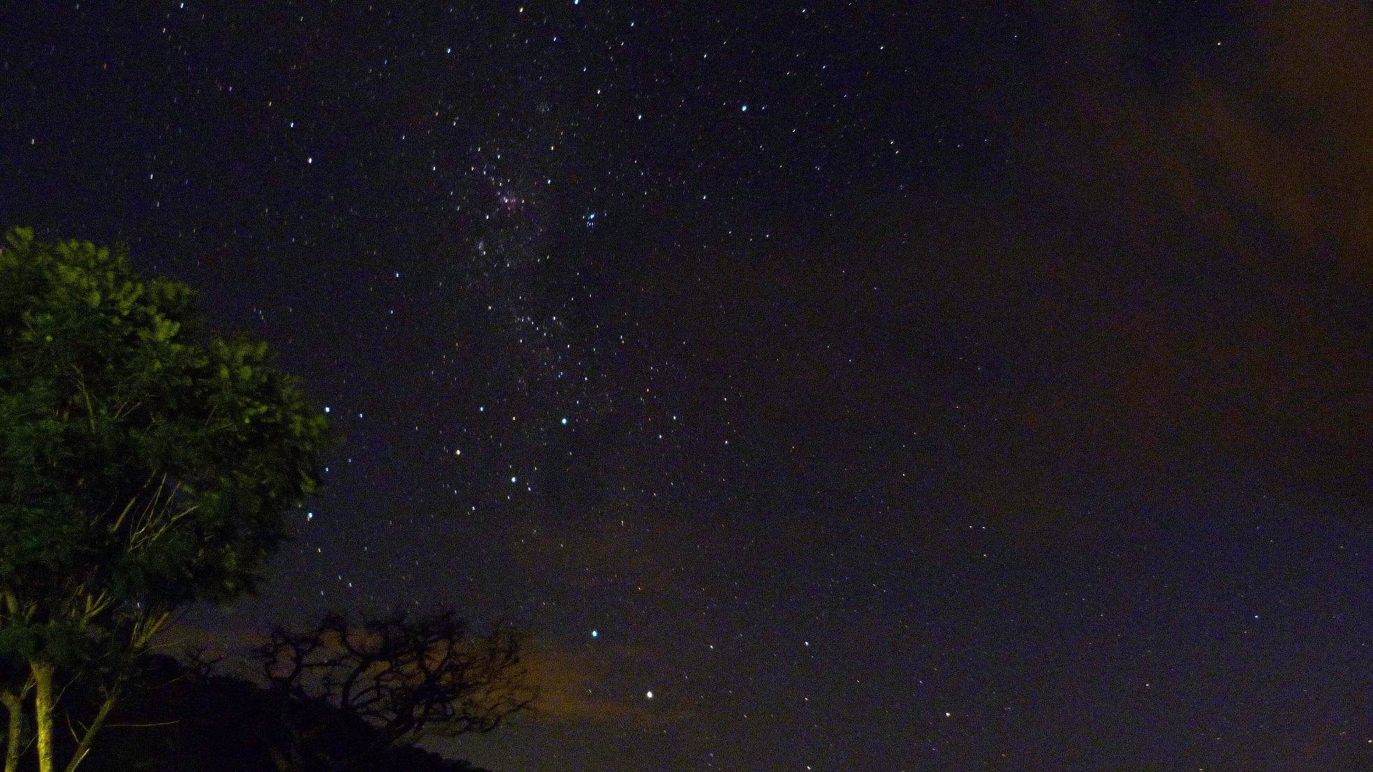 Milk Way Rising over the Trees, South Africa by Harlan Parkinson, South Africa. Equipment: Panasonic FZ-45 Bridge Camera