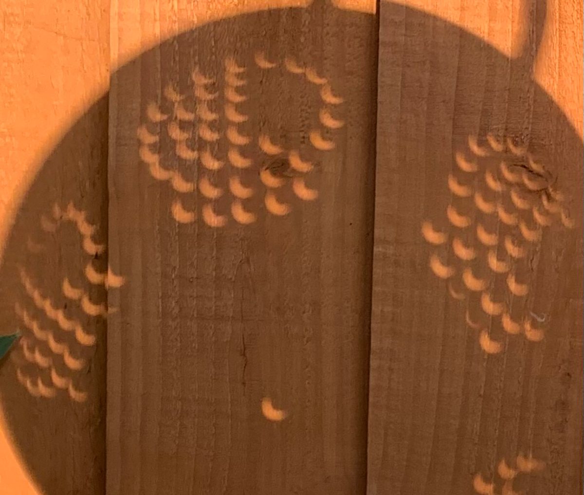 Jean Cullen captured the shadow of the solar eclipse through a colander from Magnus, Merseyside, UK, 12 August 2026, 20:09 local time. Equipment: iPhone
