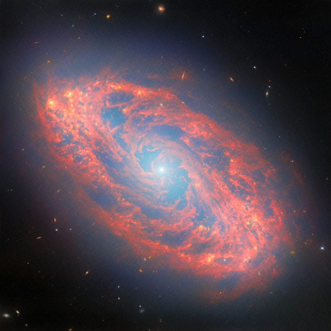 Spiral galaxy NGC 5134. If not for dark matter, galaxies like these would rip themselves apart as they spin. Credit: ESA/Webb, NASA & CSA, A. Leroy