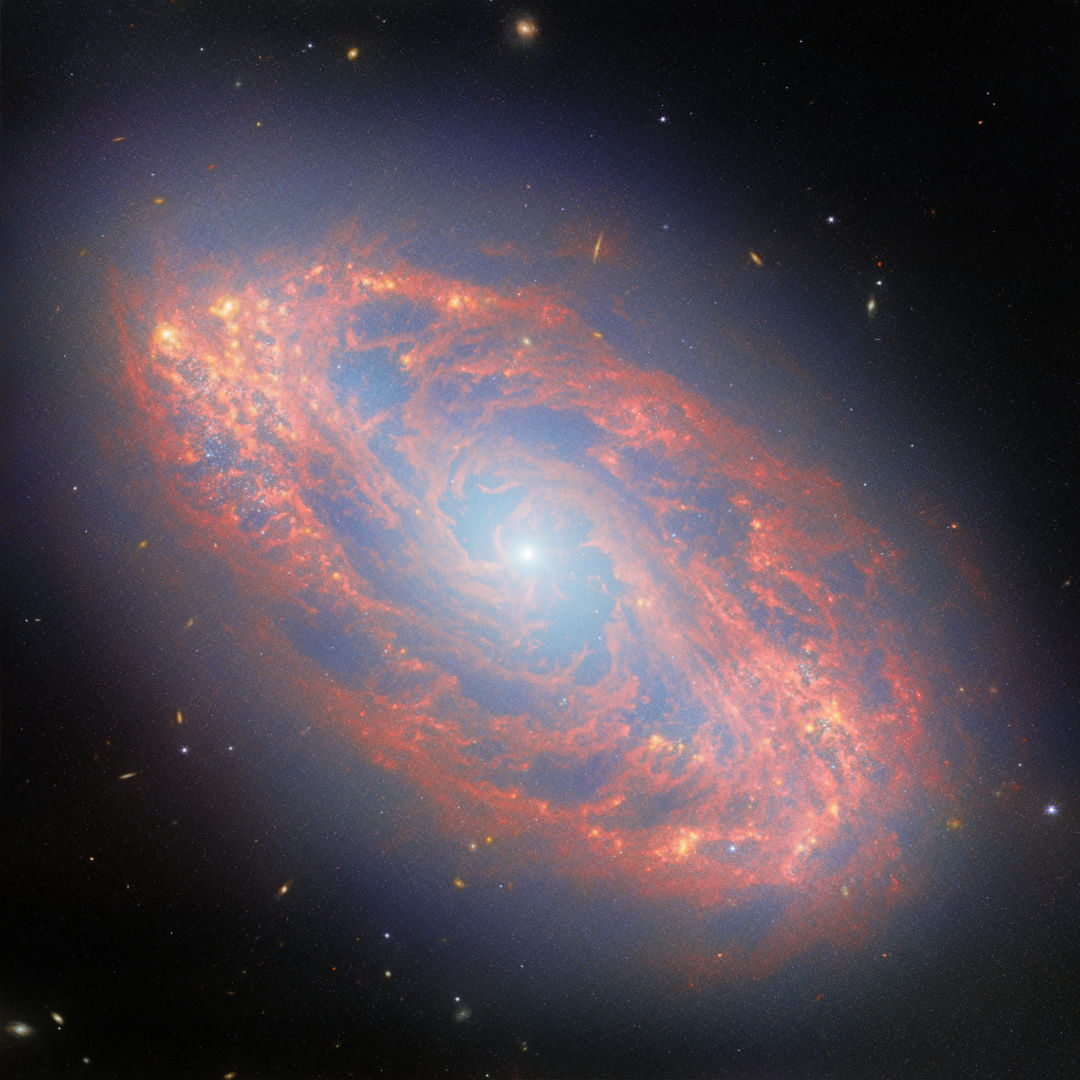 Spiral galaxy NGC 5134. If not for dark matter, galaxies like these would rip themselves apart as they spin. Credit: ESA/Webb, NASA & CSA, A. Leroy