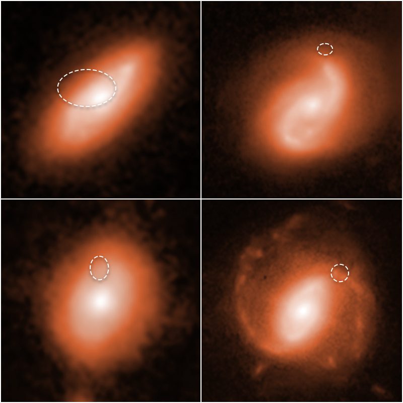 Hubble image showing the locations of four fast radio bursts (FRBs) in the spiral arms of four distant galaxies. Credit: NASA, ESA, A. Mannings (UC Santa Cruz), W. Fong (Northwestern), A. Pagan (STScI)