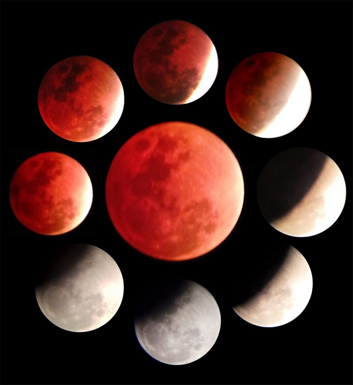 A composite image showing the phases of the total lunar eclipse of March 3, 2026, captured by Tran Huu Thinh, Ho Chi Minh City, Vietnam. Equipment: D80F900 Telescope, Smartphone Redmi Note 13
