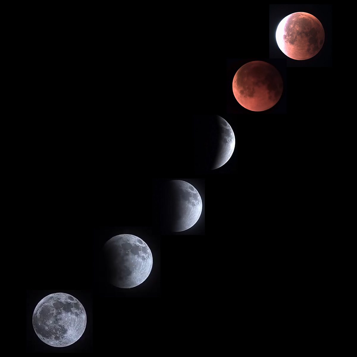 The stages of a lunar eclipse captured by Srilakshmi N, Chennai, India