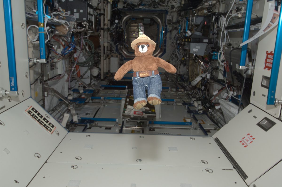 Smokey Bear pictured in the International Space Station’s Destiny laboratory. Smokey made the journey to the ISS on 15 May 2012 aboard the Soyuz rocket with NASA astronaut Joe Acaba and Russian cosmonauts Gennady Padalka and Sergei Revin. Credit: NASA