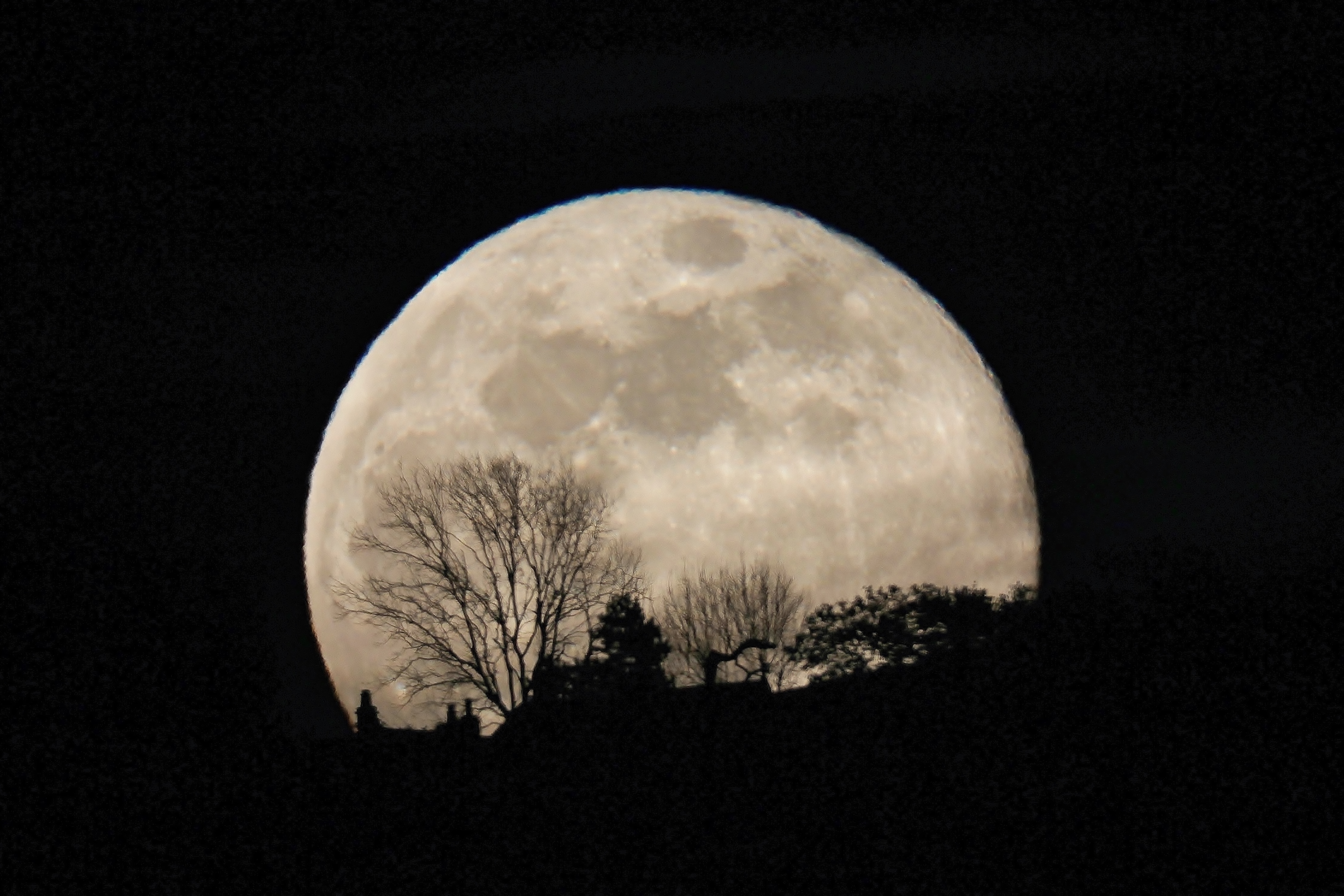 Moonrise Silhouette by Susan Snow, Bishops Cleeve, Cheltenham, UK. Equipment: Canon EOS 600D, 300mm lens.