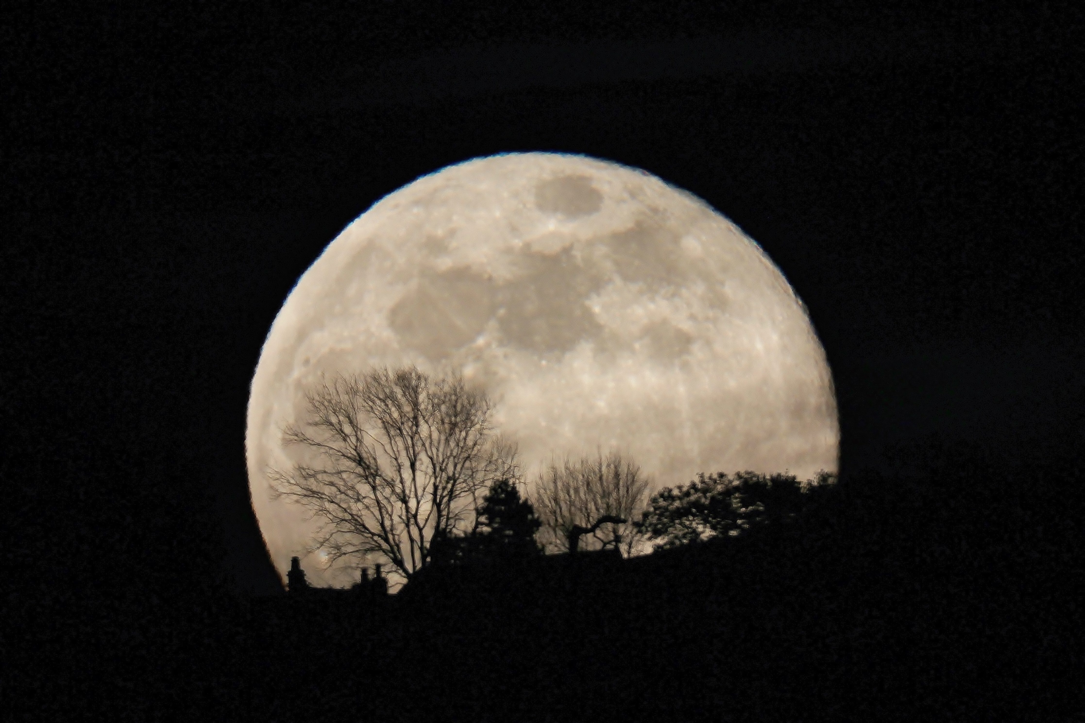 Moonrise Silhouette by Susan Snow, Bishops Cleeve, Cheltenham, UK. Equipment: Canon EOS 600D, 300mm lens.