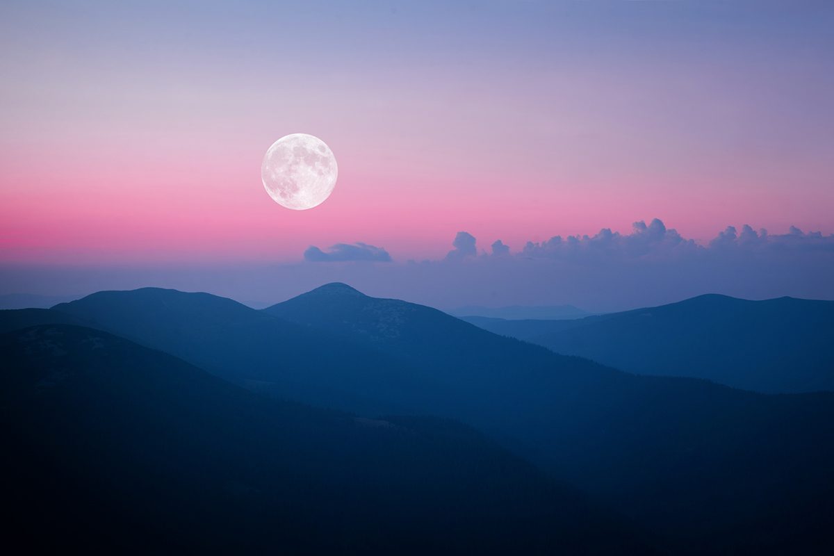 Pink Moon is the fourth full Moon of the year. Credit: Misha Kaminsky