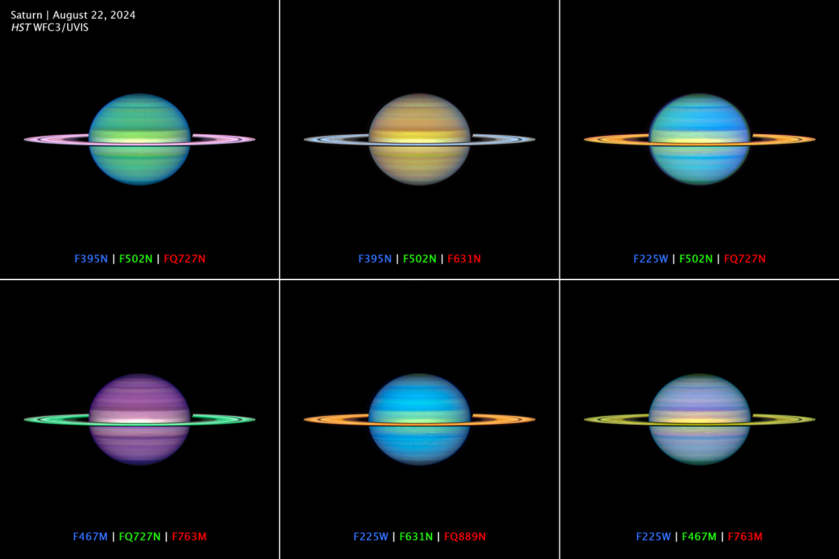 Views of Saturn in different wavelengths, as seen by the Hubble Space Telescope observation program called OPAL (Outer Planet Atmospheres Legacy). Science: NASA, ESA, Amy Simon (NASA-GSFC), Michael H. Wong (UC Berkeley). Image Processing: Joseph DePasquale (STScI)