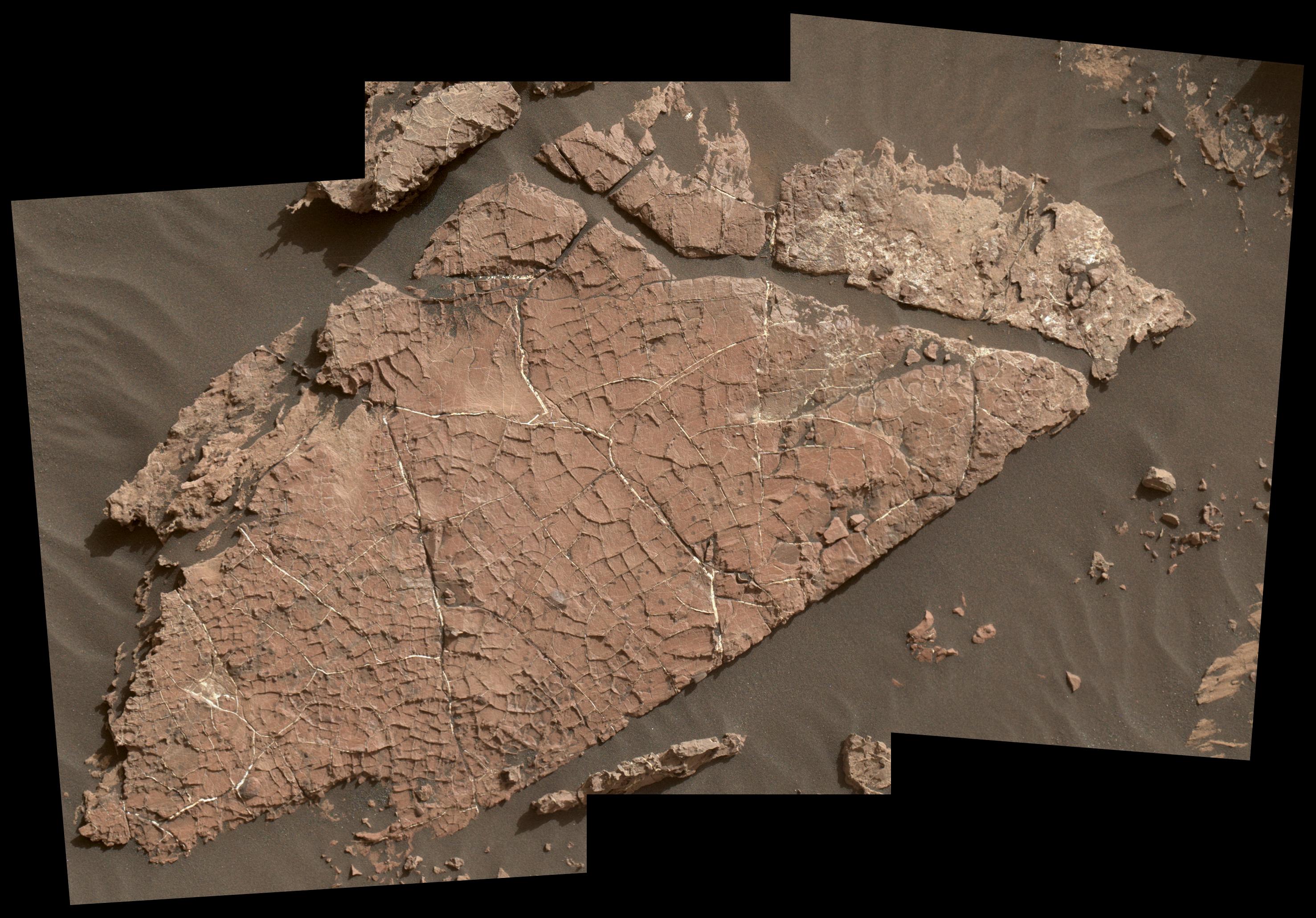 A network of in a Martian rock slab known as 'Old Soaker' may indicate the drying-out of a mud layer over 3 billion years ago. This view comprises 3 images taken by the MAHLI camera on the arm of NASA's Curiosity Mars rover. Credit: NASA/JPL-Caltech/MSSS