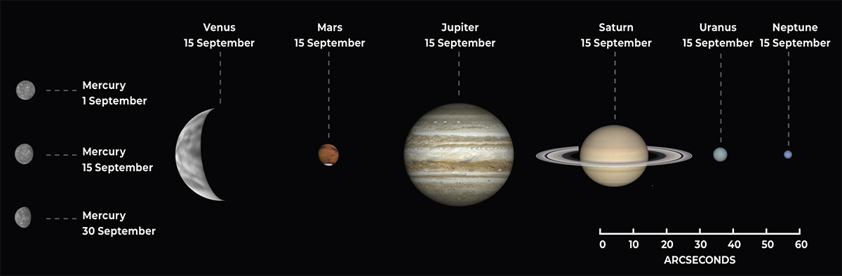The phase and relative sizes of the planets in September 2026. Each planet is shown with south at the top, to show its orientation through a telescope