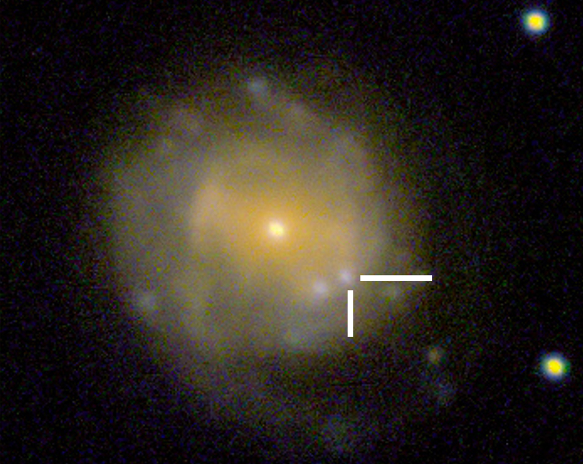 Image showing the location of AT 2018cow, a Luminous Fast Blue Optical Transient. Credit: Sloan Digital Sky Survey