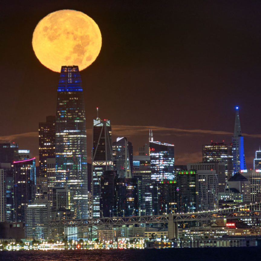 Beaver Moon Sean Qiu, San Francisco, California, USA, 26 November 2023 Equipment: Sony a7R III mirrorless camera, Sigma 150-600mm lens