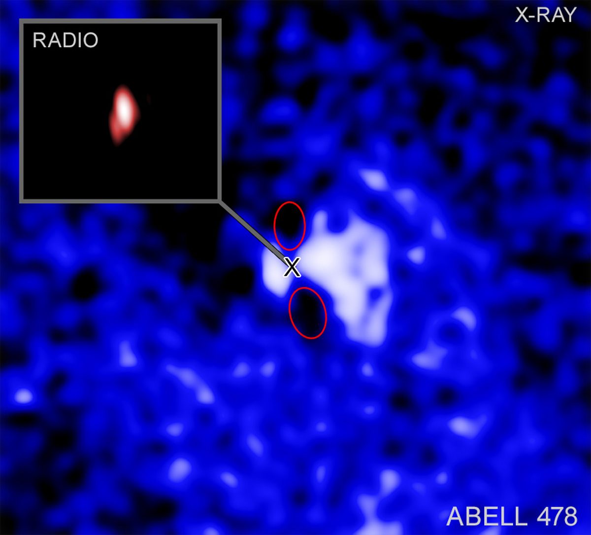Image showing the black hole at the centre of Abell 478. Chandra data shows cavities carved out by beams from the black hole. Radio data from VLBA shows where the beams are currently pointing, demonstrating the beams have changed direction. X-ray: NASA/CXC/Univ. of Bologna/F. Ubertosi; Image Processing: NASA/CXC/SAO/N. Wolk