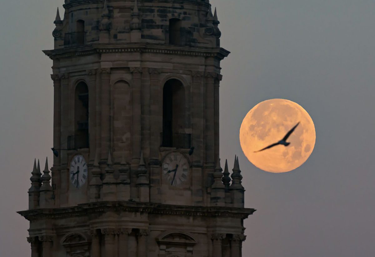 The December 2024 Cold Moon rising over Malaga cathedral, Spain. Photo by Jesus Merida/SOPA Images/LightRocket via Getty Images