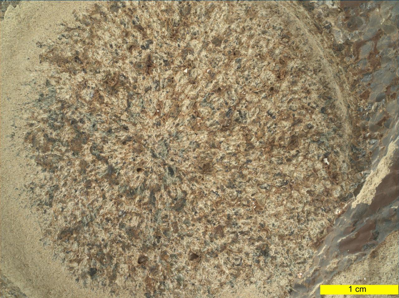 Rock before sample drilling in Mars's Jezero Crater PERSEVERANCE MARS ROVER, 15 DECEMBER 2021 IMAGE CREDIT: NASA/JPL-Caltech/MSSS