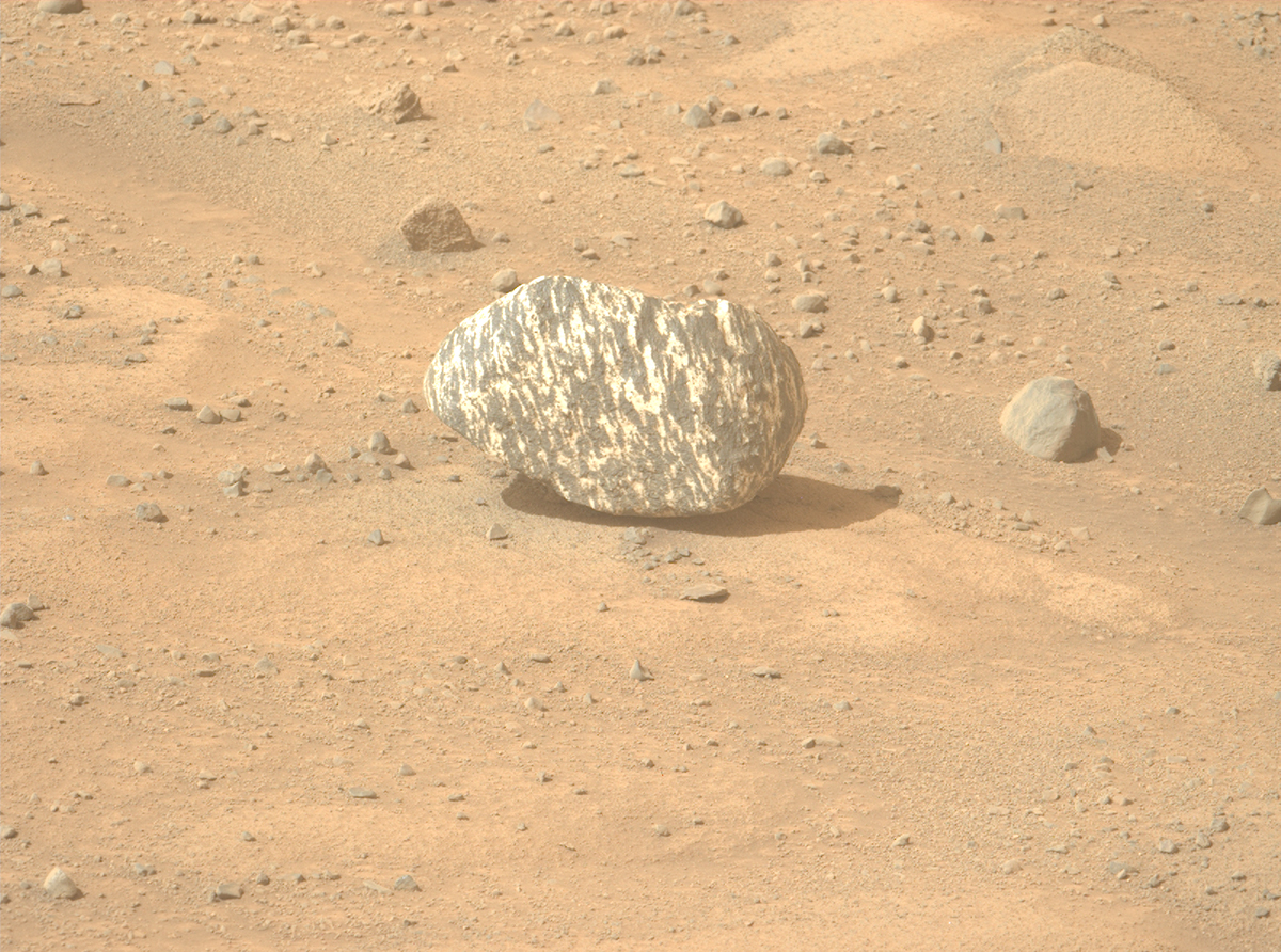 NASA's Mars Perseverance rover captured this image of a black-and-white striped rock, nicknamed Freya Castle, on 13 September 2024. Credit: NASA/JPL-Caltech/ASU