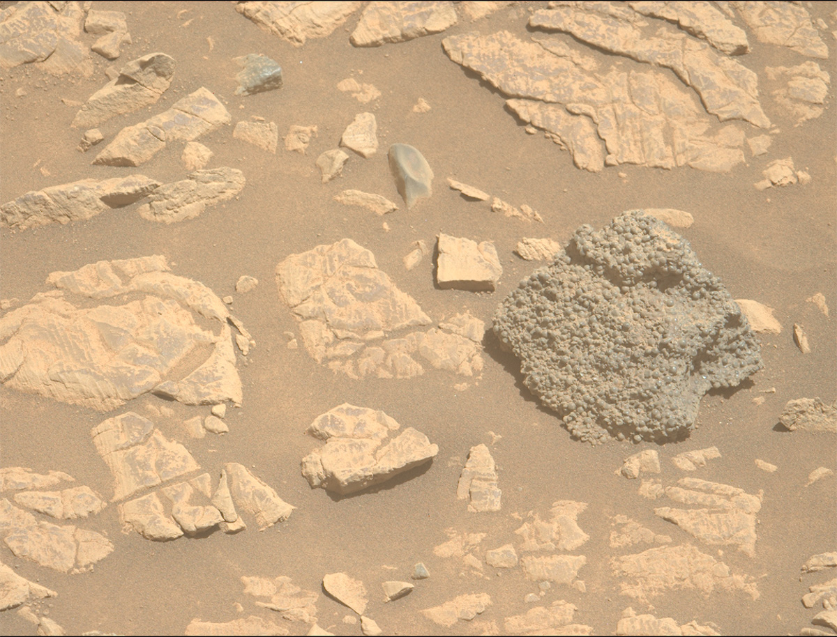 NASA’s Mars Perseverance rover captured this image of a rock named 'St. Pauls Bay', which displays hundreds of small spherical formations known as 'spherules'. Credit: NASA/JPL-Caltech/ASU