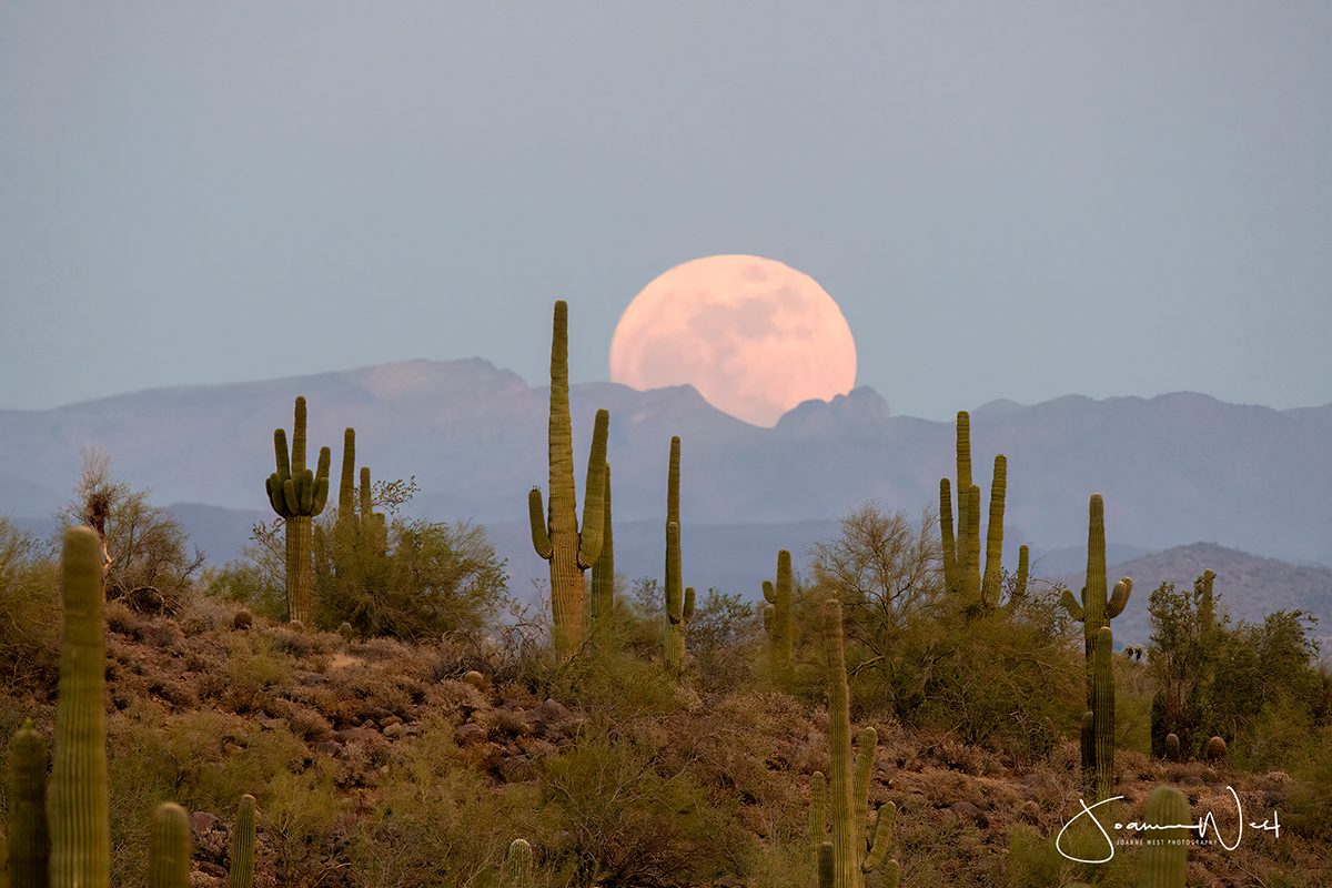 The Blue Moon captured by Joanne West on 30 May 2026, just after sunset, Usery Mountain Regional Park, Arizona, USA